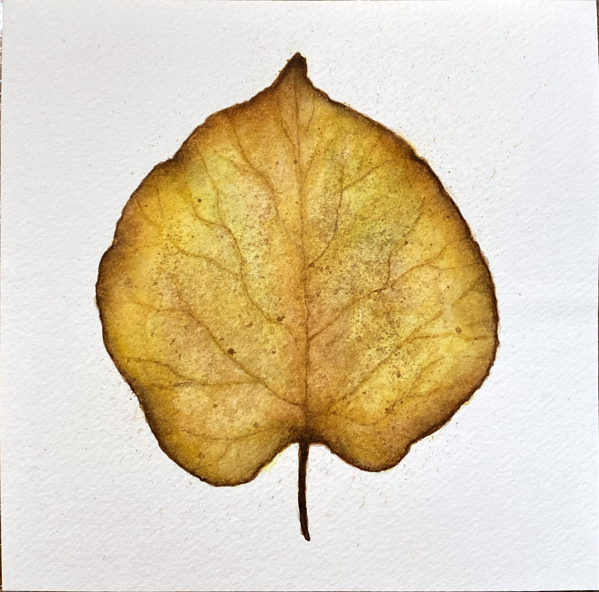 Beech Leaf Watercolor